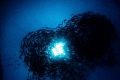Tornado - Jack Fish