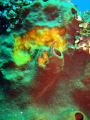 Taken off Tulumban Bali with Sony using internal flash