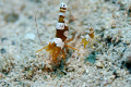 nha trang, vietnam, dive place: madonna rock