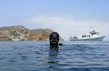 Divers returning to Catalina Island after the fire in May 2007. 