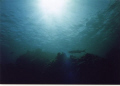Cayman Seascape