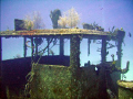 My favorite wreck in Grand Cayman.