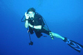 Kim's OK. Kim was showing that seeing the Turtle yet again was the biz