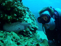 Self Portrait.  I took this photo of a whitemouth and me off Honokawai beach in Maui,HI.  I take 'em on land, so why not underwater....... fun stuff.