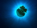 Photo was taken whilst working off Green Island, Australia.