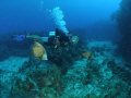 flying high in the reef in parguera wall!!!!!