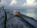 november 2007