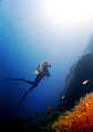 Mediterranean Sea
Pantelleria Island
Vertical
No Strobes

