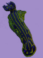 Nudi