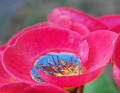 Saw this one morning in the garden.