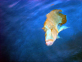 curious wrasse, from boat