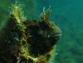 Xat l'ahmar, gozo, malta