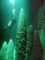 Abismo Anhumas
Cave in Bonito - MS - Brazil
