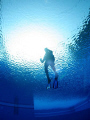 Fantastic Swimming pool in Luanda - Angola