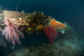 Betty bomber-Truk Lagoon-