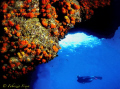 From inside a cave in marine protected 