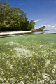 Kri island @ Raja Ampat
