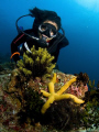 my dive buddy