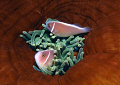 clown fishes,nikon f90x 60mm macro
