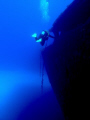 This was taken on the wreck of the Um El Faroud. 