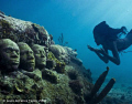 Marie free dives down to underwater faces. Jason deCaires Taylor. Each profile is a cast of  students from Tamworth community college.