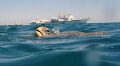 Turtle taking air at the surface.