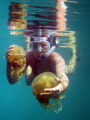 Taken in Secret Lake where the jellyfish are not as numerous as in Jellyfish Lake