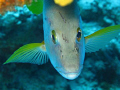 Taken in Cozumel, Mexico.