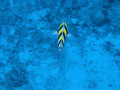 Taken in Cozumel, Mexico