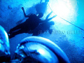 Divers at Pirapama's wreck . Recife coast. Brazil's northeast shore.