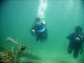 Open Water Divers navigating the inside reef at Lauderdale by the Sea