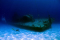 Videographer shooting the Shipwreck Tibbits in Cayman Brac.
Canon G-9, Ikelite Housing, DS-51 Strobe.