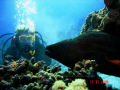 Diver under the stress. I hope it's not in conflict with the rules