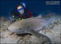 With the diver one side and my port almost touching its nose on the other this Shark was very patient, i don't think either of us blew a bubble for at least five mins. Nikon D2x 12mm lens manual exposure, Sabah Borneo.