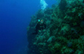 Wendy off the wall in Cayman Brac.
4000 feet straight down!
Canon G-9 with Ikelite Housing and DS-51 Strobe
