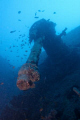 AA gun at the stern of the Thistlegorm. Shot using a Canon EOS 300D in Nimar housing, Canon EF-S 18-55mm lens, Nikonos SB-105 strobe with diffuser.
