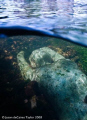 Glass underwater river sculpture called Alluvia in Canterbury, Kent. Nikon D80. Jason dECaires Taylor.