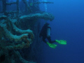 Surveying the expanse of Spiegel Grove, Key Largo, Florida