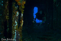 My son exploring the inside of the HMS Tibbet off the coast of Cayman Brac.  Nikon D200 Ikelite Housing with DS125 Strobe