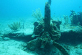What's left of an airplane in the Bahamas. Canon w/18-55 lens & DS200 strobe.