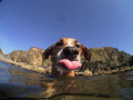 sea and sea dx-5000g, wide lense.
My buddy and I.