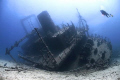 The Giannis D, Sha’ab Abu Nuhas Reef, Red Sea, Egypt.