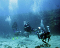 Divers at Fernando de Noronha Island. Brazil.
