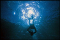 Freediving off Sydney in natural light