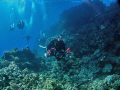 Dan from C3 Submerged shooting with a group of tourists.
Special thanks to Lahaina Divers in Maui, Hawaii.