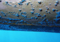 bubbles of air, decompression of 3 metres, the hull