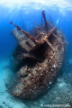 The Giannis D, Sha’ab Abu Nuhas Reef, Red Sea, Egypt.