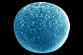 Planet fish