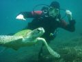 kane with turtle