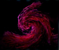 3 nudies close by. Inspird me for this swirl
